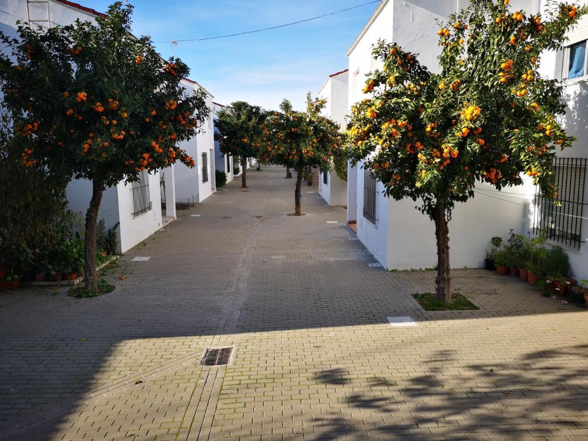 Hermoso Apartamento En Conil Conil De La Frontera Exterior foto